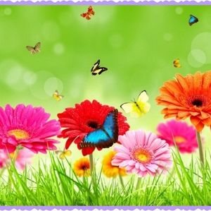 Meet your Posher, Janet's